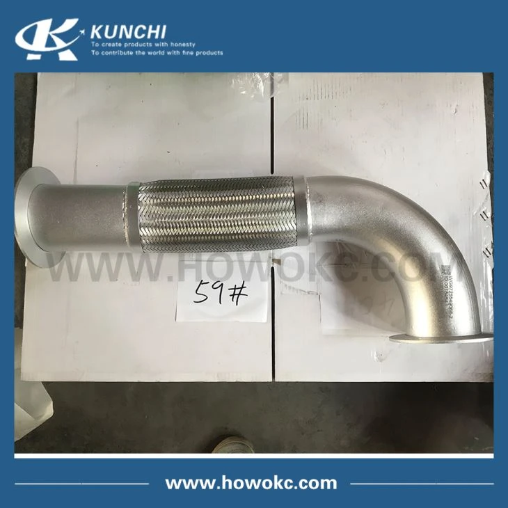 WG9725549068-2 Flexible Pipe With Net HOWO